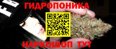 кокс Гай