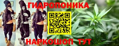 прущие крисы Гатчина