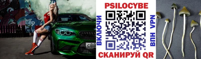 где найти   Красный Сулин  Псилоцибиновые грибы прущие грибы 