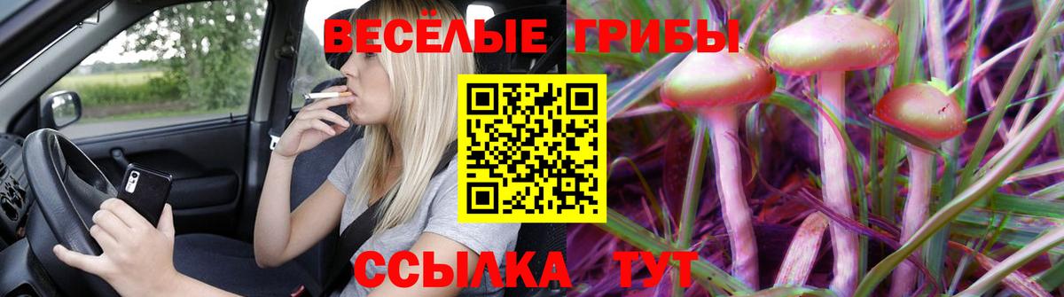 Псилоцибиновые грибы MAGIC MUSHROOMS Красный Сулин