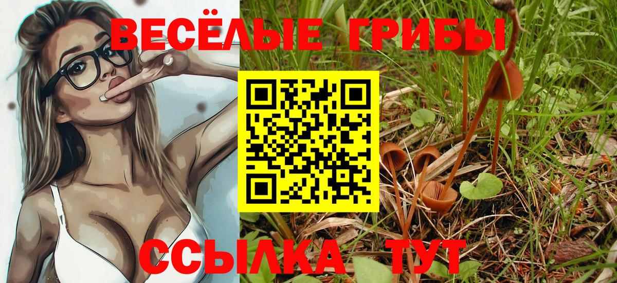 Псилоцибиновые грибы Cubensis  Вход с VPN  купить   Красный Сулин 